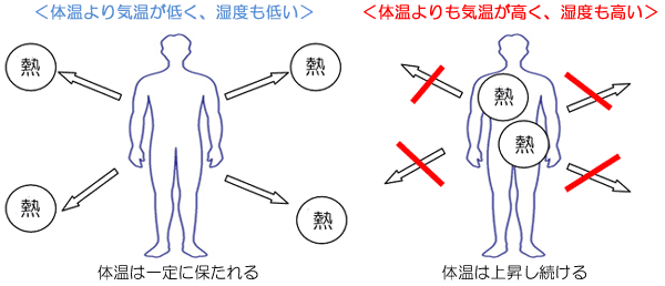 体温 低い 症 熱中