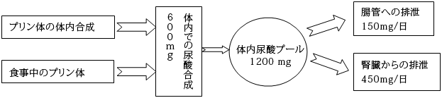 痛風発症のメカニズム