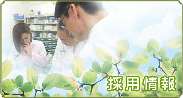 採用情報